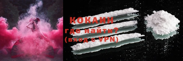 шишки Богданович