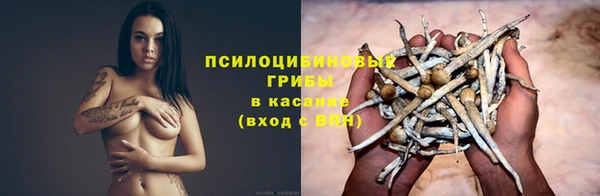 ГАЛЛЮЦИНОГЕННЫЕ ГРИБЫ Новозыбков