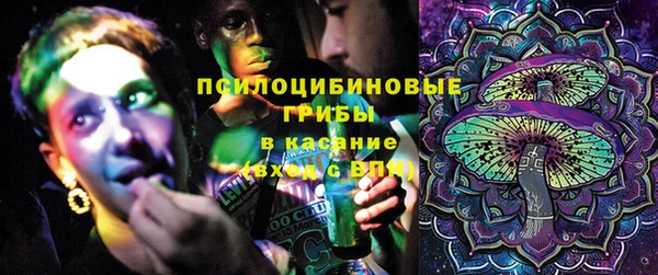 шишки Богданович