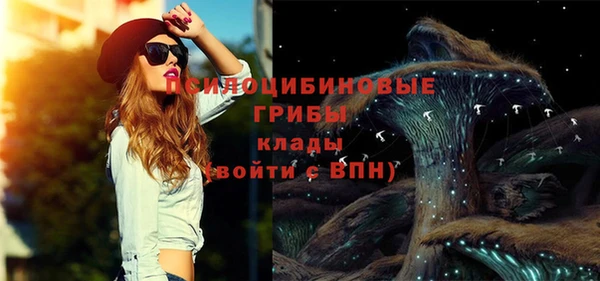 амф Новодвинск