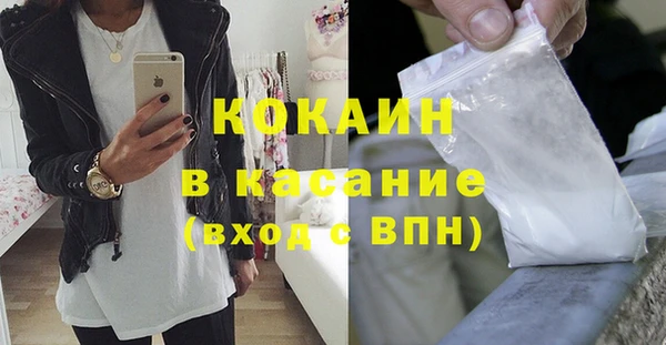 шишки Богданович
